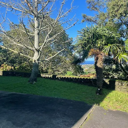 Casa Dos Platanos Branco Homestay Rabo de Peixe